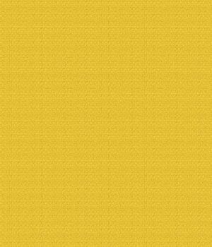 Plains Corn Curtain