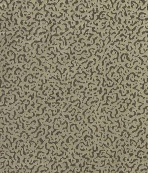 Leopard Natural