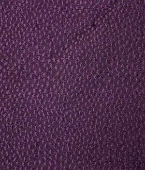 Ostrich Purple